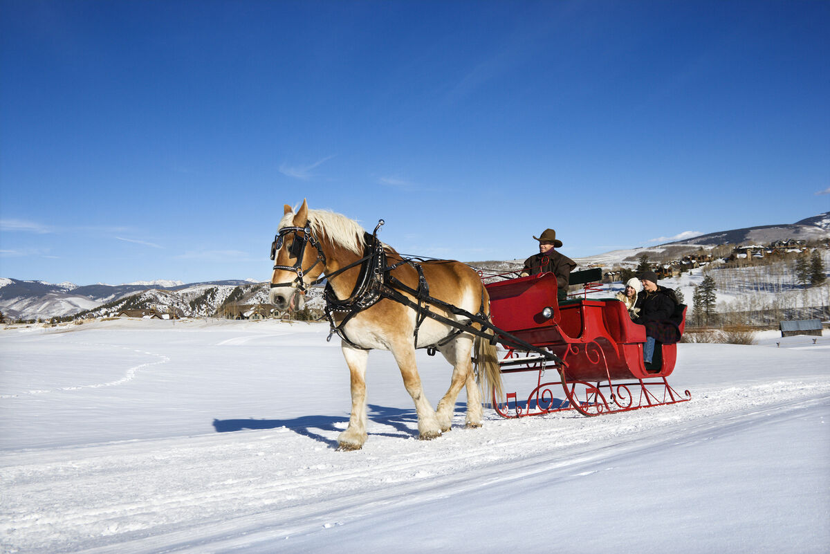 Horse-drawn sled rides in winterย