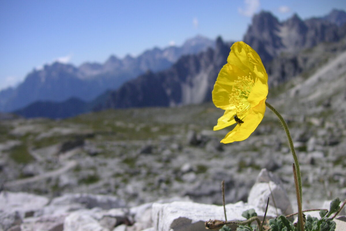 The Lienz Dolomites