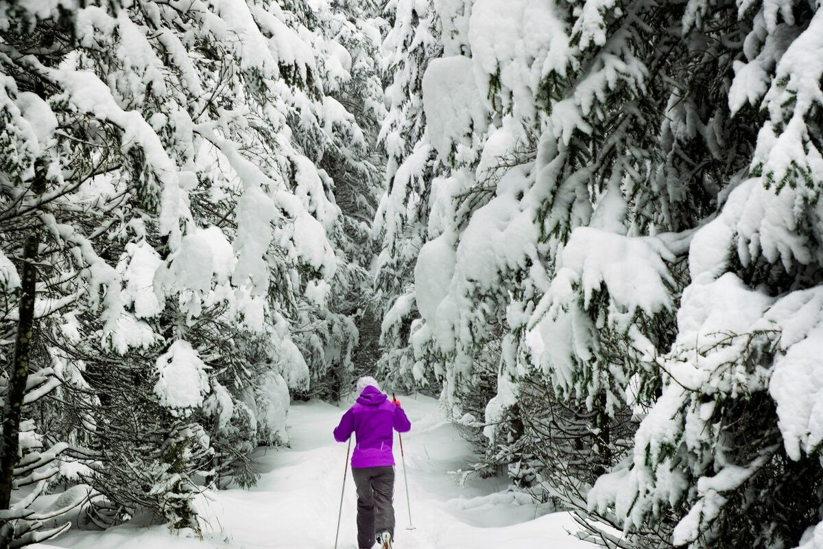 Hiking Trails In The Defereggen Valley